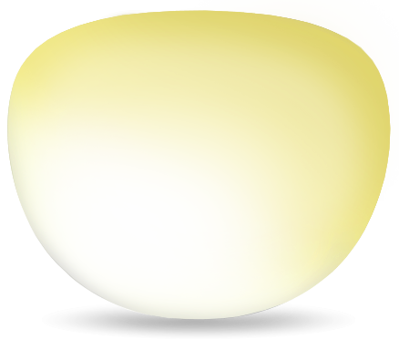 Wiley X Prescription-Clear-Digiforce Progressive-Photochromic