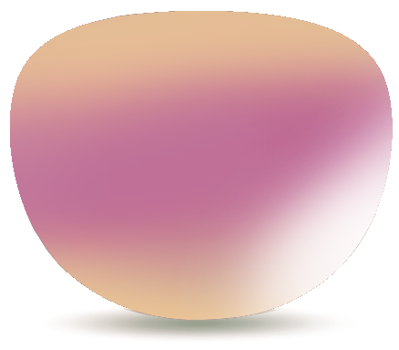 Wiley X Prescription-Sunglasses-Digiforce Progressive -Captivate