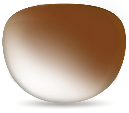 Clear Prescription - Trifocal (Lined) - Polycarbonate - XtraActive Transitions - Specs Eyewear