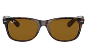Tortoise - Brown Solid Color
