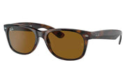 Tortoise - Brown Solid Color