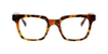 [Amber Tortoise Front and Temples]
