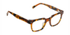 [Amber Tortoise Front and Temples]