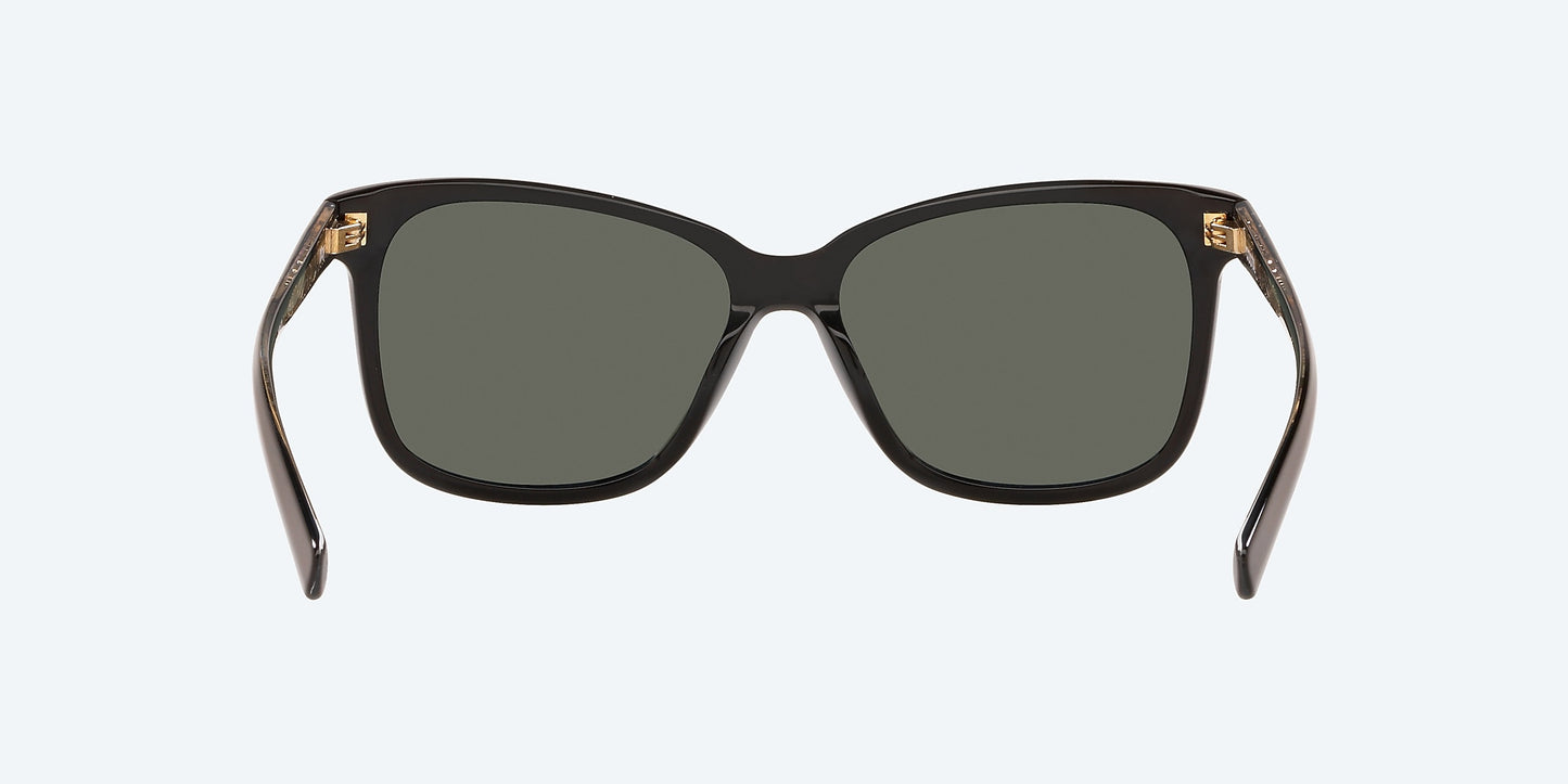 [Gray Polarized Glass Lenses, Shiny Black Frame]