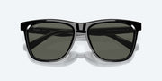 Gray Polarized Glass Lenses, Black Frame