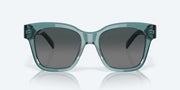 Gray Gradient Polarized Glass Lenses, Deep Crystal Aquamarine Frame