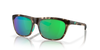 [Matte Shadow Tortoise - Green Mirror 580P]