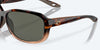 [Gray Polarized Glass Lenses, Shiny Tortoise Fade Frame]