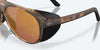 [Gold Mirror Polarized Glass Lenses, Matte Tortoise Frame]