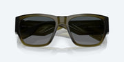 Gray Gradient Polarized Glass Lenses, Translucent Algae Frame