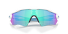 [Prizm Sapphire Lenses, Polished White Frame]