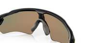 Prizm Ruby Lenses, Matte Black Frame