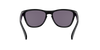 [Prizm Grey Lenses, Polished Black Frame]