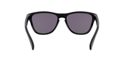 Prizm Grey Lenses, Polished Black Frame