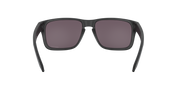 Prizm Grey Lenses, Matte Black Frame