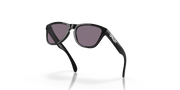 Prizm Grey Lenses, Polished Black Frame