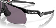 Prizm Grey Lenses, Polished Black Frame