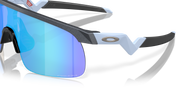 Prizm Sapphire Lenses, Blue Steel Frame