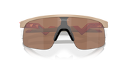 Prizm Tungsten Lenses, Matte Terrain Tan Frame