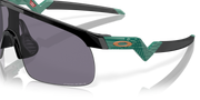 Prizm Grey Lenses, Black Frame