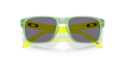 Prizm Grey Lenses, Transparent Jade Frame