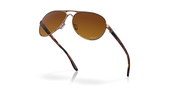 Brown Gradient Polarized Lenses, Rose Gold Frame