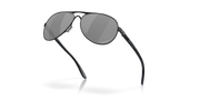 Prizm Black Polarized Lenses, Polished Black Frame