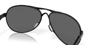 Prizm Black Polarized Lenses, Polished Black Frame