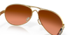 [Prizm Brown Gradient Lenses, Polished Gold Frame]