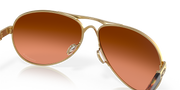 Prizm Brown Gradient Lenses, Polished Gold Frame