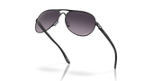 Prizm Grey Gradient Lenses, Satin Black Frame