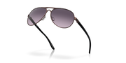 Prizm Grey Gradient Lenses, Satin Grenache Frame