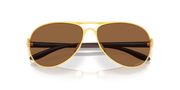 Prizm Bronze Lenses, Satin Gold Frame