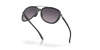 [Prizm Grey Gradient Lenses, Velvet Black Frame]