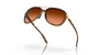 [Prizm Brown Gradient Lenses, Brown Tortoise Frame]