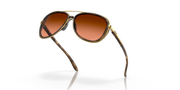 Prizm Brown Gradient Lenses, Brown Tortoise Frame