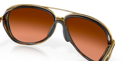 Prizm Brown Gradient Lenses, Brown Tortoise Frame