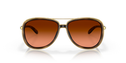 Prizm Brown Gradient Lenses, Brown Tortoise Frame