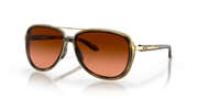 Prizm Brown Gradient Lenses, Brown Tortoise Frame