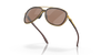 [Prizm Tungsten Polarized Lenses, Matte Rootbeer Frame]