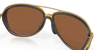 [Prizm Tungsten Polarized Lenses, Matte Rootbeer Frame]