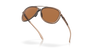 [Prizm Bronze Polarized Lenses, Matte Sepia Frame]