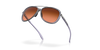 [Prizm Brown Gradient Lenses, Matte Trans Lilac Frame]