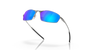 [Prizm Sapphire Polarized Lenses, Satin Chrome Frame]