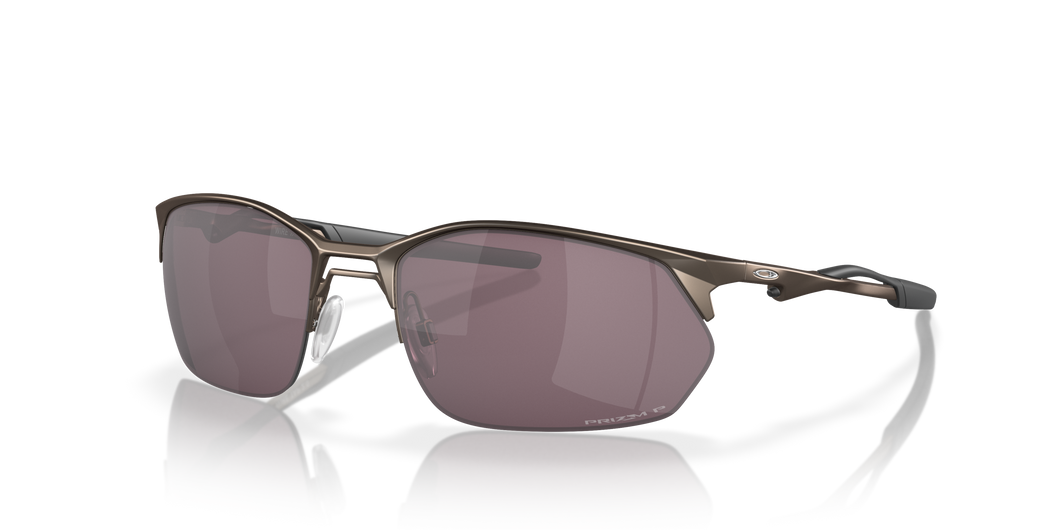 [Prizm Daily Polarized Lenses, Pewter Frame]