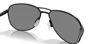 Prizm Black Polarized Lenses, Satin Black Frame