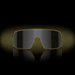 Prizm Black Lenses, Matte Gold Frame