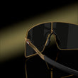 Prizm Black Lenses, Matte Gold Frame