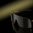 Prizm Black Lenses, Matte Gold Frame