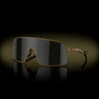 Prizm Black Lenses, Matte Gold Frame